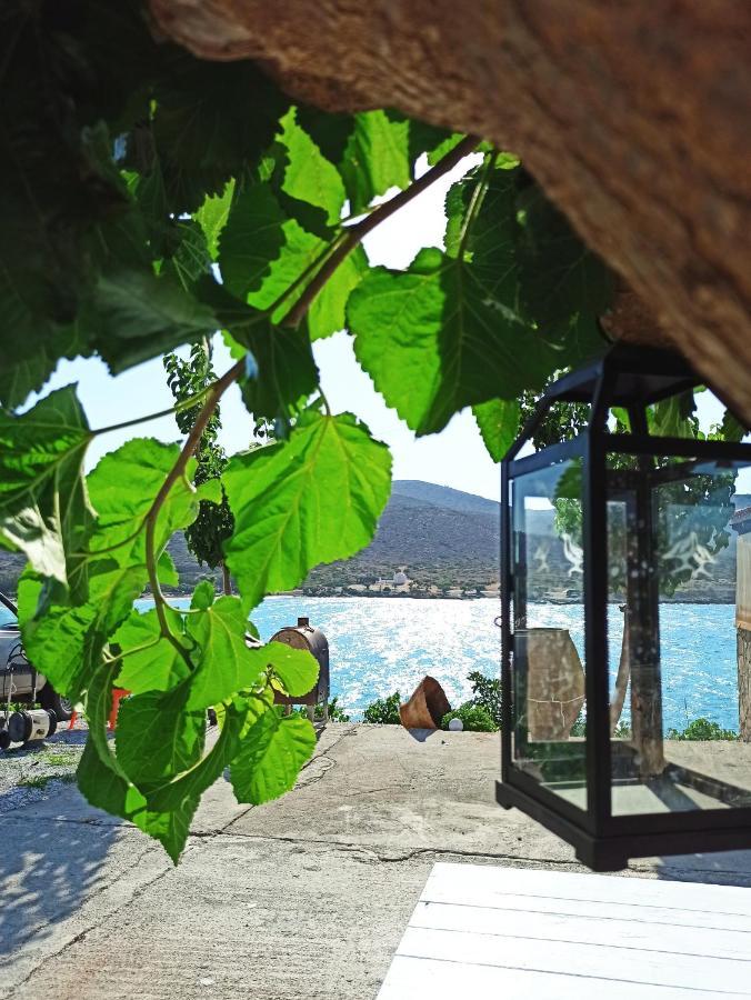 Tholos Alexandra'S Beachfront House Kavousi  Exterior photo